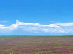 -青海湖国家重点风景名胜区