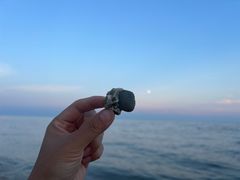 -碣石国家级海洋公园