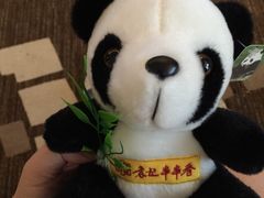 -袁记串串香(梁家巷店)
