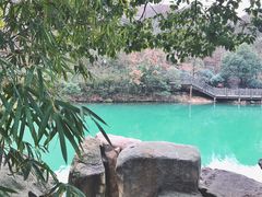 -白马涧龙池景区