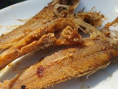 -兴福老面馆(寺路街店)