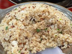 -蘑统田下·野生菌火锅