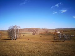 -塞罕坝国家级自然保护区