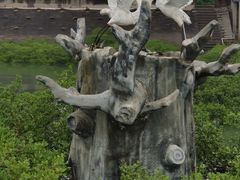 -北海金海湾红树林生态旅游区