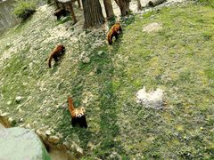 -西安秦岭野生动物园