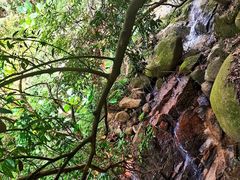 -火炉山森林公园