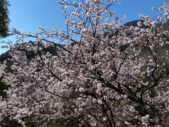 -阳台山自然风景区