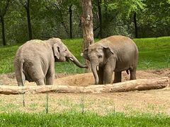 -北京野生动物园