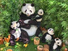 -济州岛泰迪熊博物馆