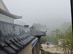 -黄山排云型旅酒店餐厅