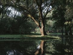 -上海共青森林公园