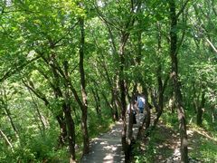 -帽儿山国家森林公园