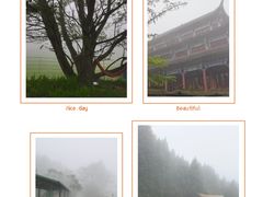 -武陵山森林公园