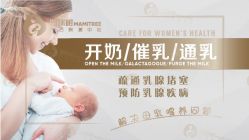 -涌泉妈咪树通乳·产后恢复