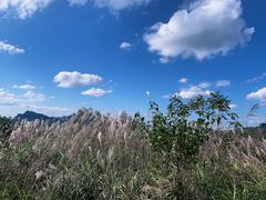 -山王坪喀斯特国家生态公园
