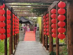 -南汇桃花村