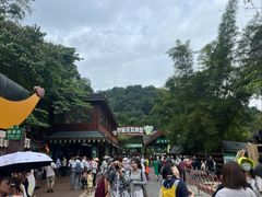 -野象谷景区