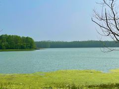 -上海海湾国家森林公园