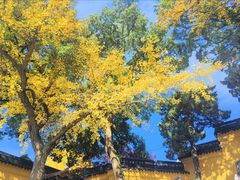 -灵岩山风景区