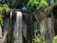 -西双版纳原始森林公园