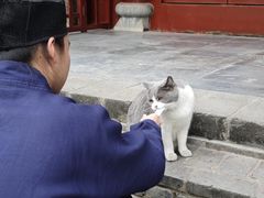 -长春观