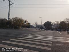 -金陵中学(河西分校)