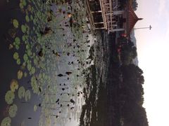 iphone_upload_pic-红山村