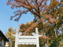 -灵谷景区