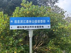 -上海滨江森林公园