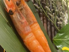 刺身五品-一绪に寿喜烧(荟聚店)