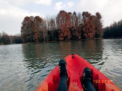 -上海海湾国家森林公园