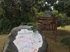 -张坝桂圆林公园