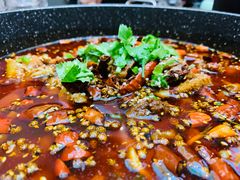 -赵小姐丨新中餐(曲江店)