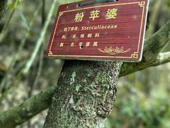 -牛角寨瀑布景区