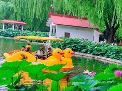 -丰台花园