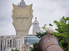 -大炮台