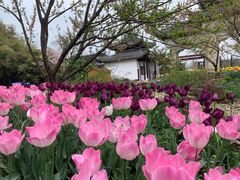 -苏州上方山国家森林公园
