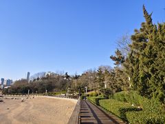 -青岛海景花园大酒店·白果树餐厅青岛菜