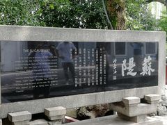 -西湖外事游船(花港观鱼码头)