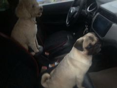 -爱康国宾体检中心(杭州滨江江南大道分院)