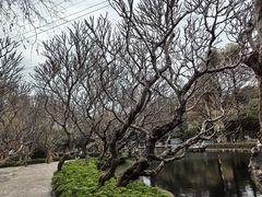 -晓港公园