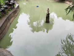 -棕榈岛海鲜自助餐厅(虹桥迎宾馆店)