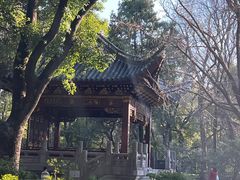 -汇龙潭