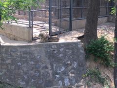 -石家庄市动物园