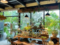 -自由生长植物工作室(深港花卉中心店)