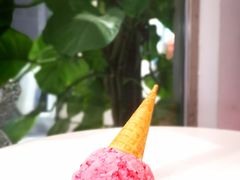 蔓越莓雪葩-歎雪糕低糖低脂Gelato冰淇淋