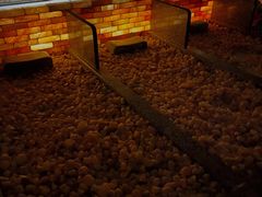 -嘉悦汗蒸时代(曙光路店)