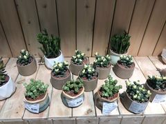 -七鲜超市(通州ONE店)
