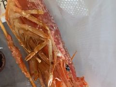 -上清·三文鱼鲜寿司(同德店)