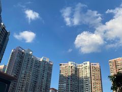 -御彩酒家(东风东路店)